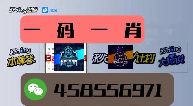 本期一肖一碼王中王，揭秘與探索，揭秘一肖一碼王中王，探索生肖與數(shù)字的神秘聯(lián)系