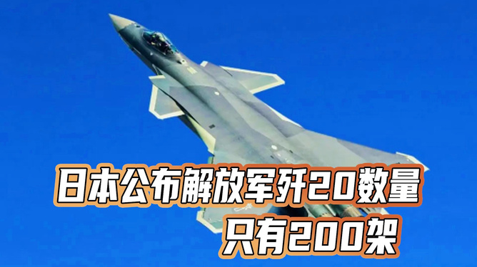 關(guān)于日本公布?xì)?20數(shù)量的探討，日本公布?xì)?20數(shù)量的深度探討