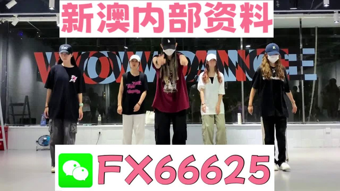 新奧天天免費(fèi)資料大全——探索與優(yōu)化的SEO之旅，新奧天天免費(fèi)資料大全，SEO探索與優(yōu)化之旅