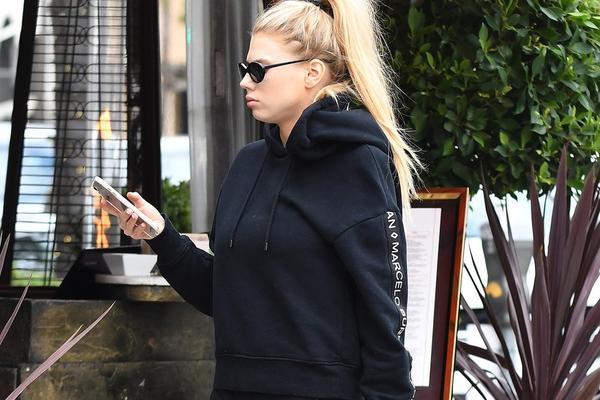 四不像一肖圖王中王，揭秘背后的奧秘與獨(dú)特魅力，揭秘四不像一肖圖王中王的奧秘與獨(dú)特魅力