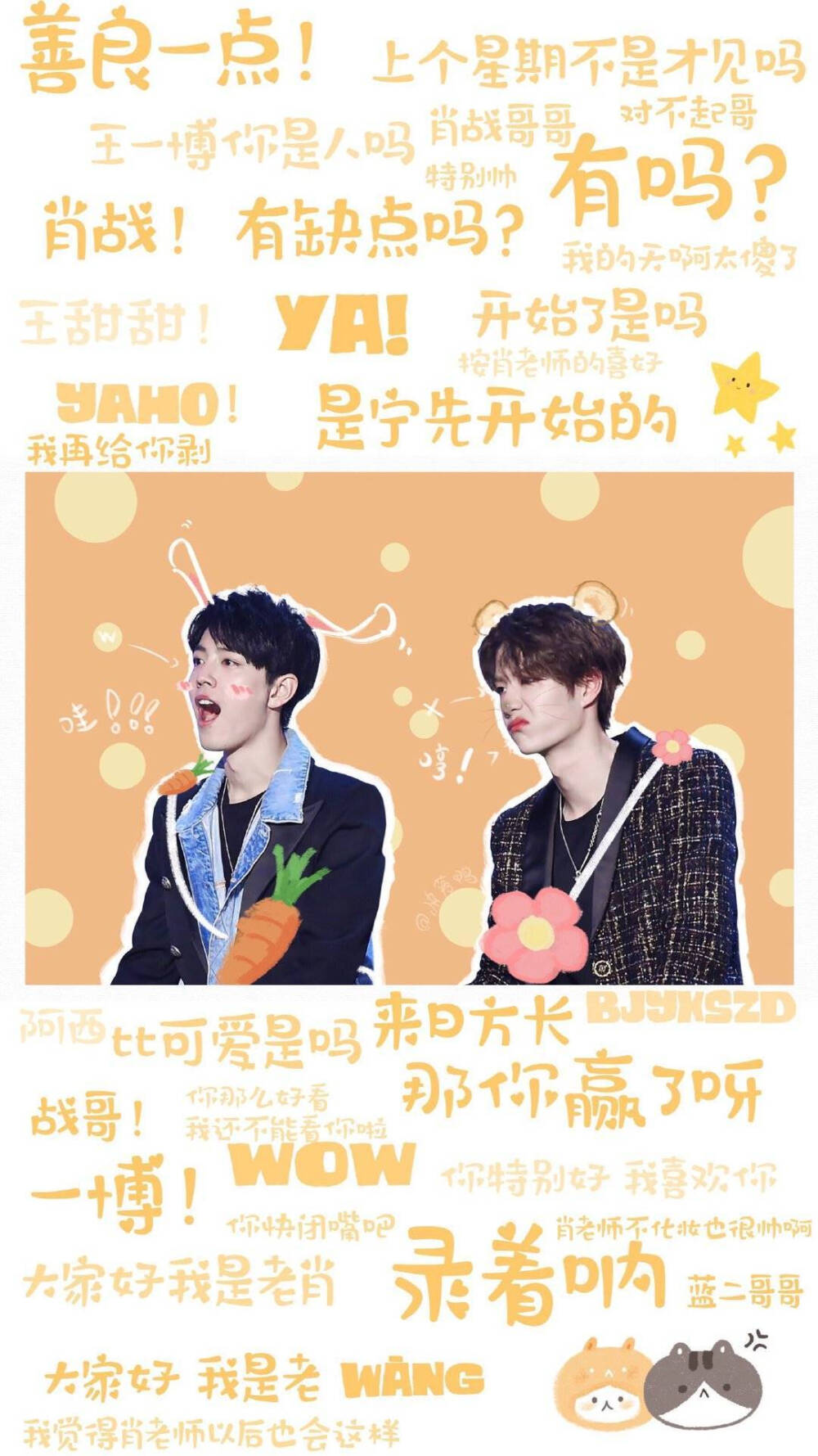 王中王一肖中特期期中，深度解析與探索，王中王一肖中特期期中深度探索與解析報告