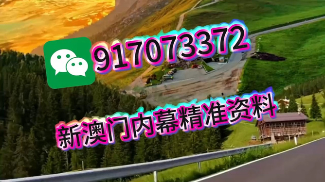 王中王一肖一中特，深度解析與SEO優(yōu)化策略，王中王一肖一中特深度解析與SEO優(yōu)化策略探討