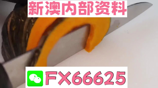 澳門管家婆，揭秘精準(zhǔn)預(yù)測(cè)的秘密武器，澳門管家婆揭秘，精準(zhǔn)預(yù)測(cè)的秘密武器全解析