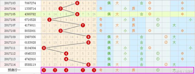 王中王彩霸王一肖中特——揭秘彩票背后的秘密，彩票背后的秘密揭秘，王中王彩霸王一肖中特探秘之旅