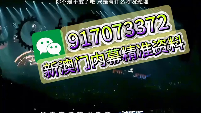 澳門王中王，揭秘一肖中的奧秘，澳門王中王揭秘生肖奧秘