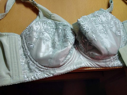 四肖期期誰一王中王——揭秘背后的秘密，揭秘四肖期期王中王背后的秘密