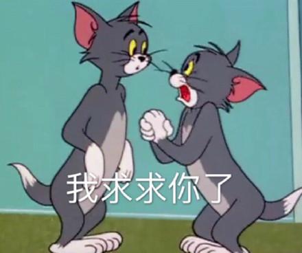 湯姆貓股票股吧，投資熱點與前景展望，湯姆貓股票股吧，投資熱點與未來前景展望