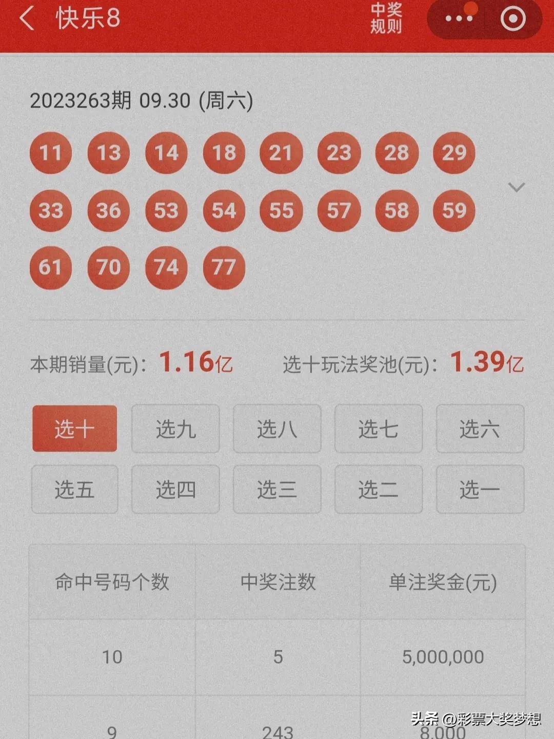 揭秘王中王四肖必中一肖中特，深度解析與SEO優(yōu)化策略，揭秘王中王四肖必中一肖中特，深度解析與SEO策略全攻略