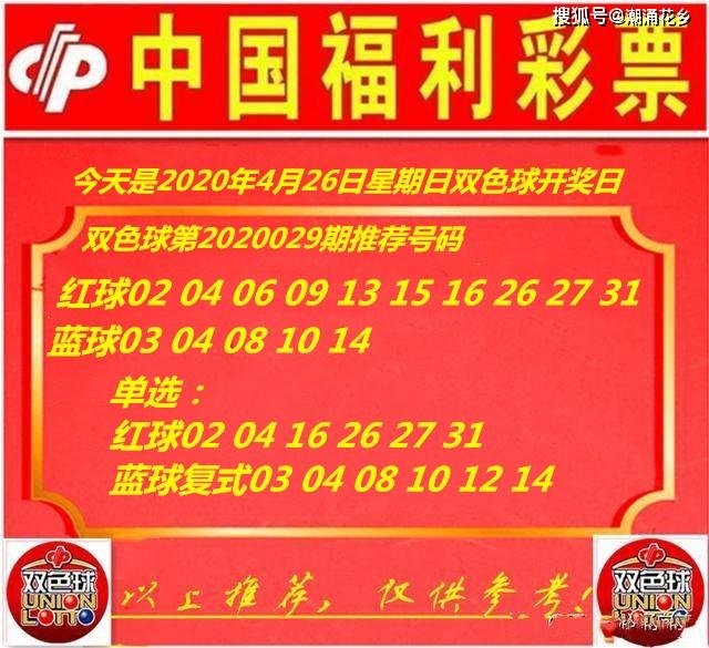 王中王029期指一生肖，揭秘生肖魅力與預(yù)測(cè)背后的秘密，揭秘生肖魅力與預(yù)測(cè)背后的秘密，王中王生肖預(yù)測(cè)第029期揭曉