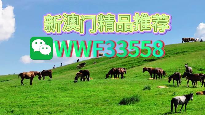 揭秘精準(zhǔn)預(yù)測一肖的秘密，解碼77777與88888的神秘?cái)?shù)字組合，揭秘精準(zhǔn)預(yù)測生肖的秘密，數(shù)字組合77777與88888的神秘解碼