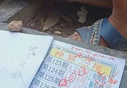 關(guān)于2025六開(kāi)彩天天免費(fèi)資料大全的SEO文章，2025六開(kāi)彩天天免費(fèi)資料大全，SEO優(yōu)化秘籍與實(shí)戰(zhàn)指南