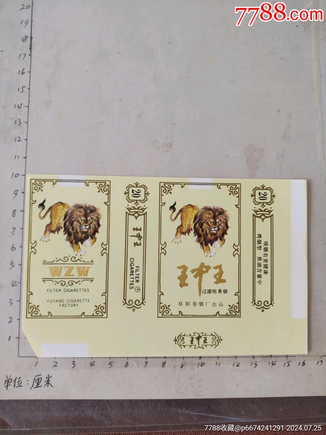 揭秘4788王中王一肖中特——探索獨特魅力的奧秘，揭秘王中王一肖中特獨特魅力的奧秘探索