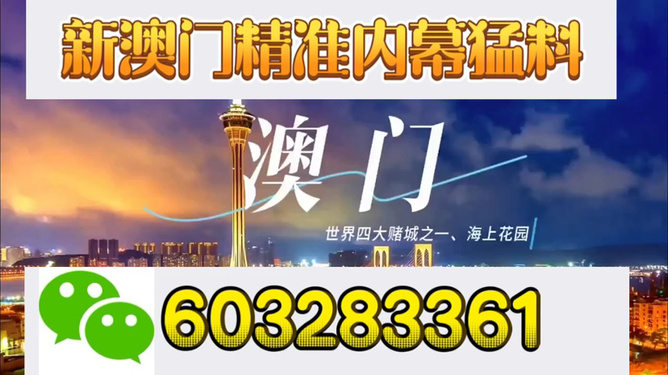 新澳門開(kāi)獎(jiǎng)結(jié)果，探索與解析，新澳門開(kāi)獎(jiǎng)結(jié)果深度解析與探索