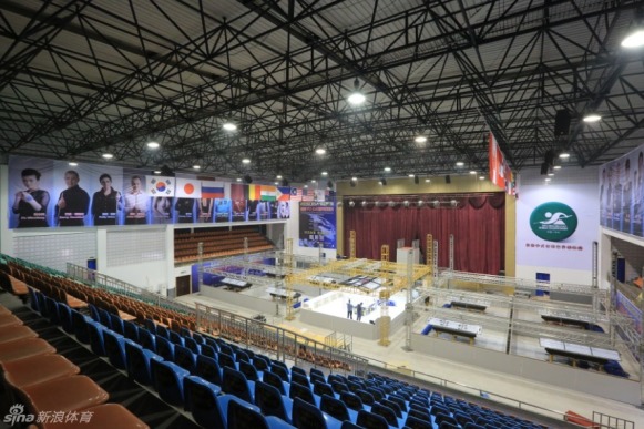 王中王一肖一馬中特平臺(tái)，探索與解析，王中王一肖一馬中特平臺(tái)深度探索與解析