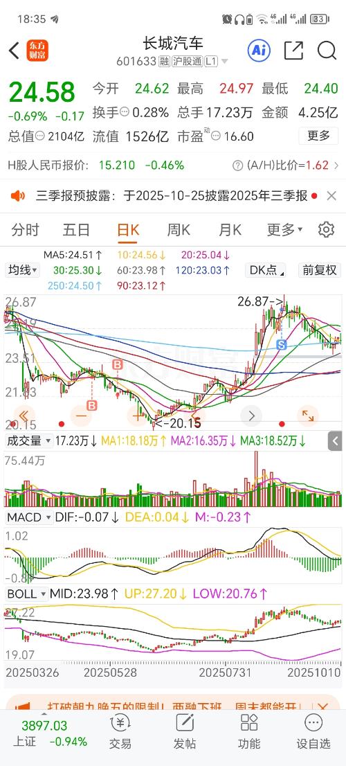 長城汽車股票股吧深度解析，長城汽車股票深度解析與股吧熱議