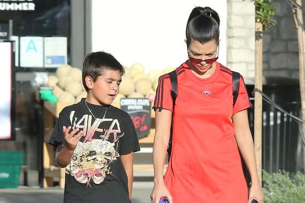 王中王兔費(fèi)一肖，揭秘背后的秘密與SEO策略，揭秘王中王兔費(fèi)預(yù)測背后的秘密與SEO策略