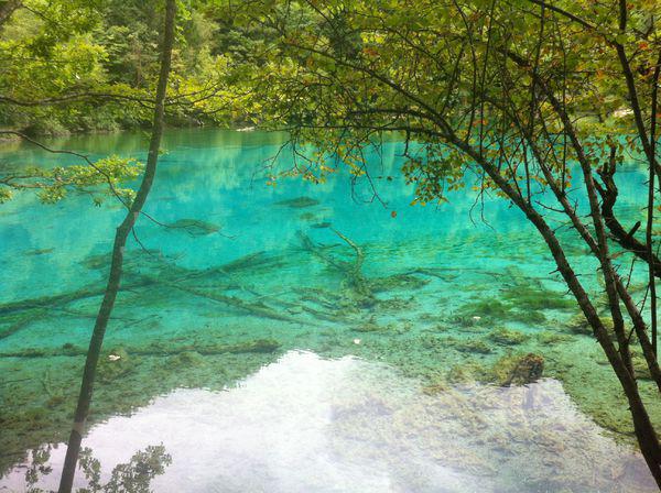 揭秘最佳旅游季節(jié)，幾月份去九寨溝旅游最好？，揭秘最佳旅游季節(jié)，揭秘幾月份去九寨溝旅游最佳體驗(yàn)？
