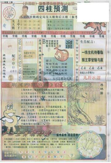 王中王動(dòng)物一肖圖，深度解析與SEO優(yōu)化，王中王動(dòng)物一肖圖深度解析與SEO優(yōu)化策略探討