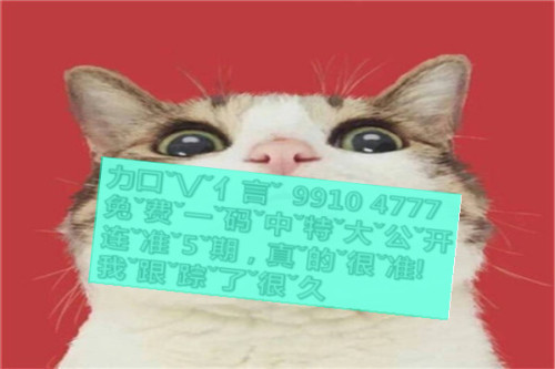 一肖啥意思，深度解析與SEO優(yōu)化文章，一肖含義深度解析與SEO優(yōu)化策略探討