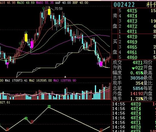關(guān)于股票投資，深度解析002422股票的投資價值，深度解析，股票投資中的002422股票投資價值探究
