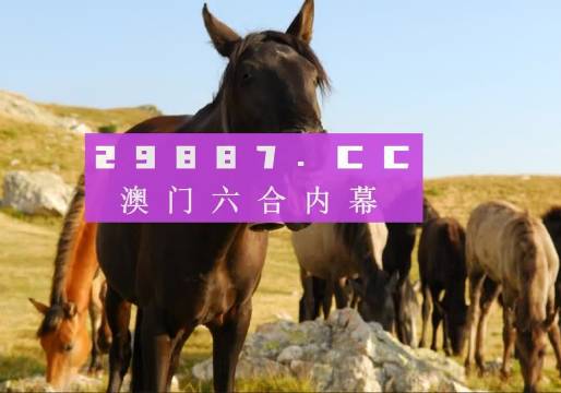 澳門八百圖庫開獎最快——全面解析與實用指南，澳門八百圖庫開獎最快，全面解析與實用指南手冊