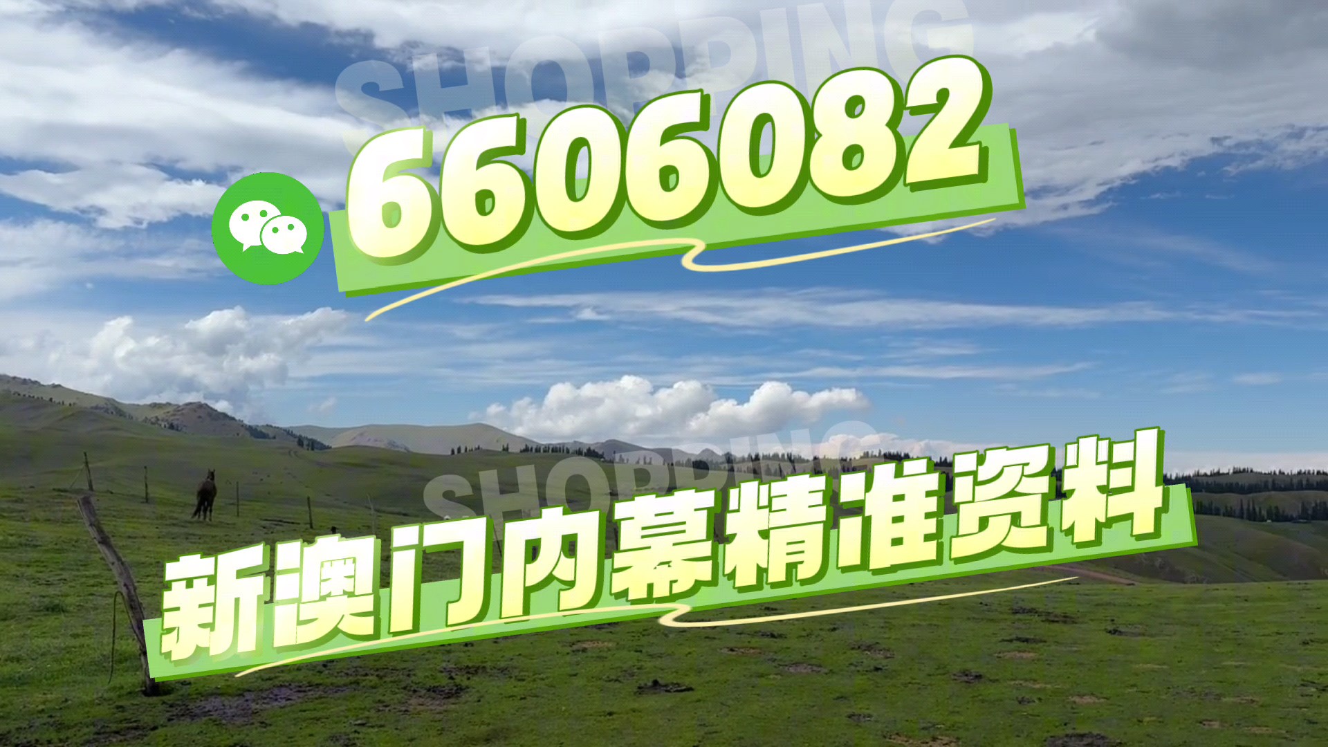 澳門今晚必開一肖一特，深度解析與預(yù)測(cè)，澳門今晚生肖特碼深度解析與預(yù)測(cè)，一肖一特必開趨勢(shì)探討